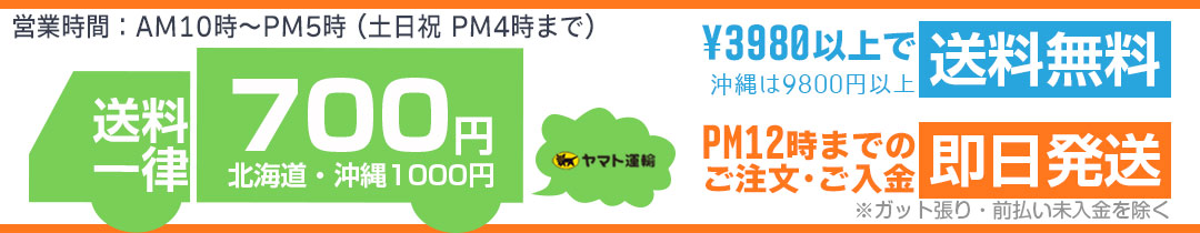 3980~ȏőXSIPM12܂ł̂őI